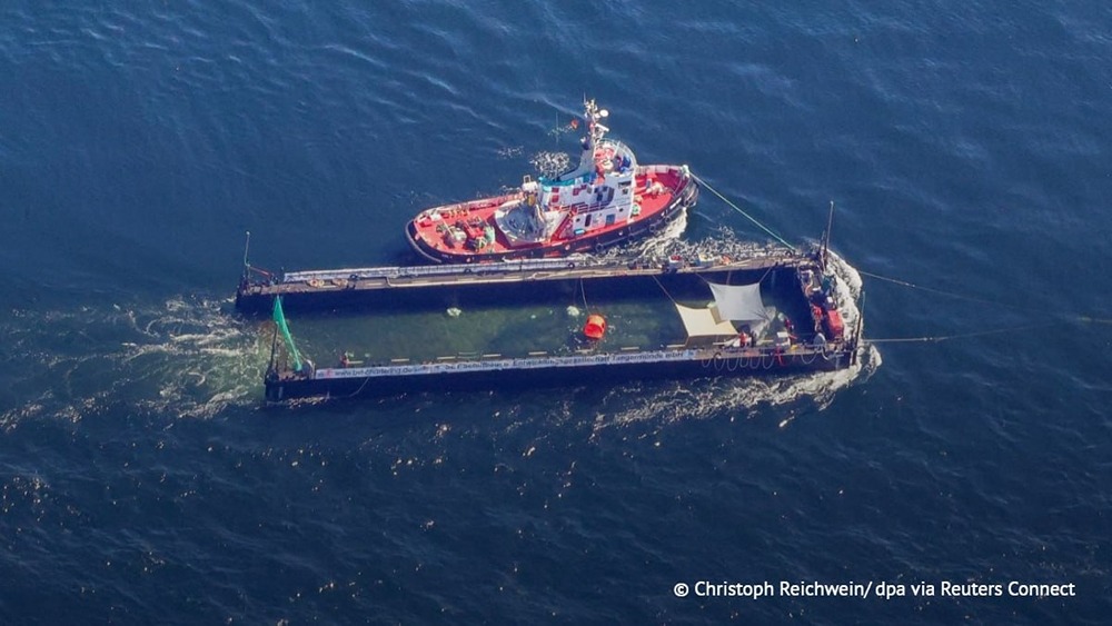 Кита Тимми выпустили в Северное море