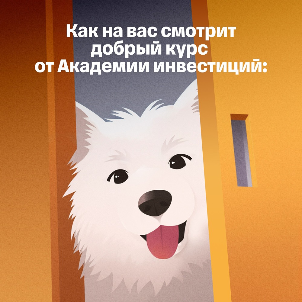Т-Инвестиции: доброта в деталях
