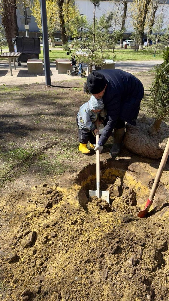 ЛУКОЙЛ к 35‑летию: экопроект — 35 тысяч новых деревьев по всей стране