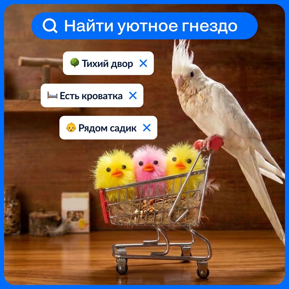 На Циане теперь поиск по ключевым словам