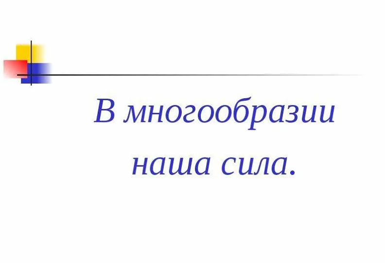 Разнообразие против шаблона: как непохожесть ведёт к росту