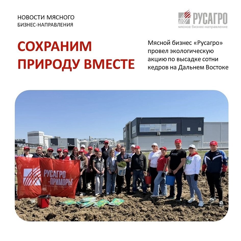 Сотрудники «Русагро‑Приморья» высадили 100 саженцев кедра в рамках субботника