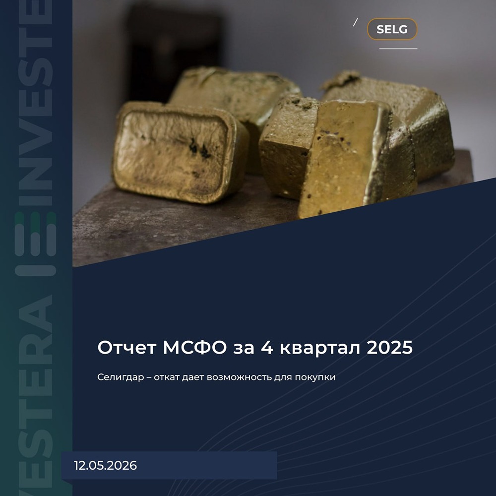 Селигдар: стоит ли покупать акции после отката? Разбираем финансовые показатели