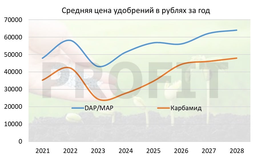 Есть ли инвестиционная идея в акциях Фосагро в 2026 году