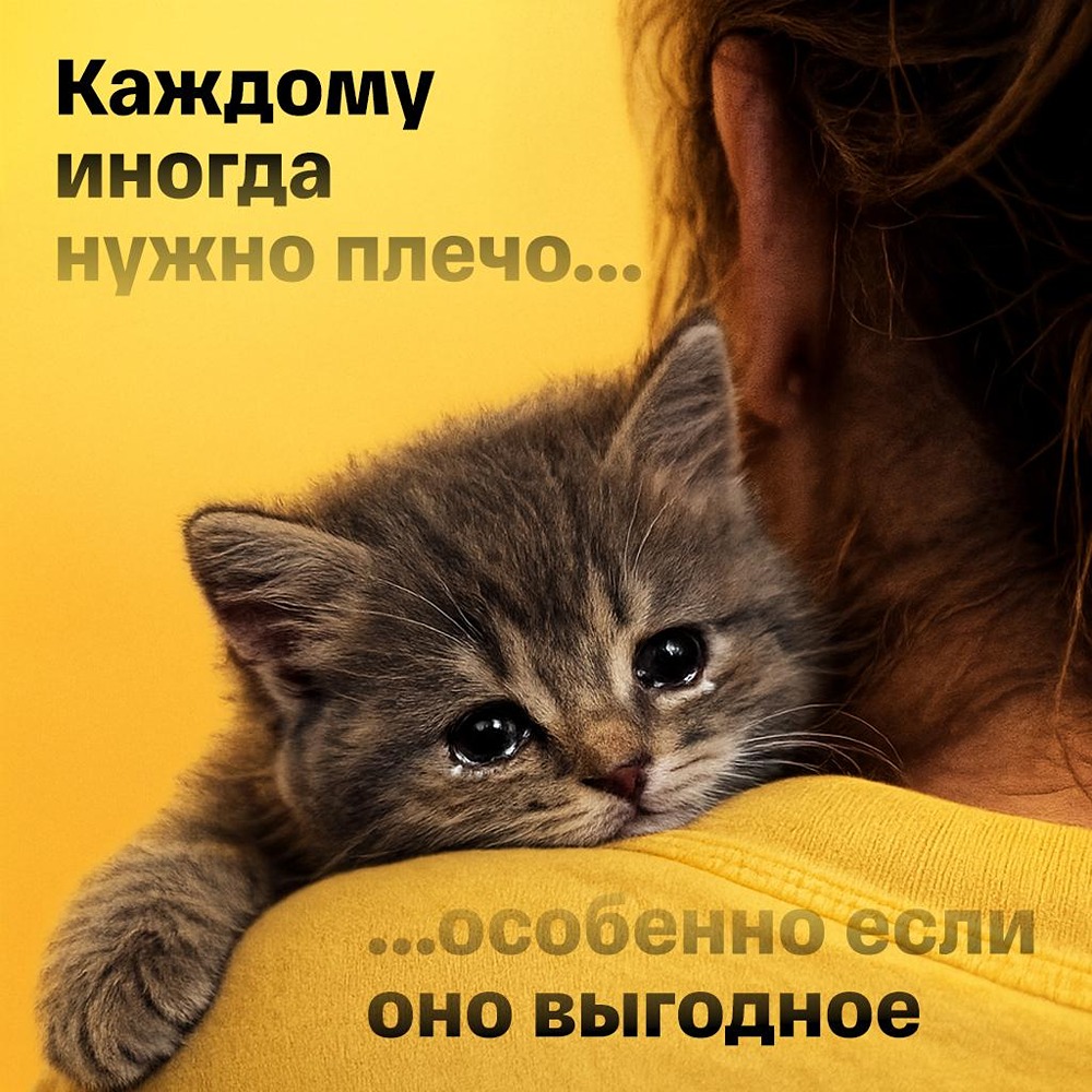 С 14 мая Т-Инвестиции снижают комиссии за непокрытые позиции