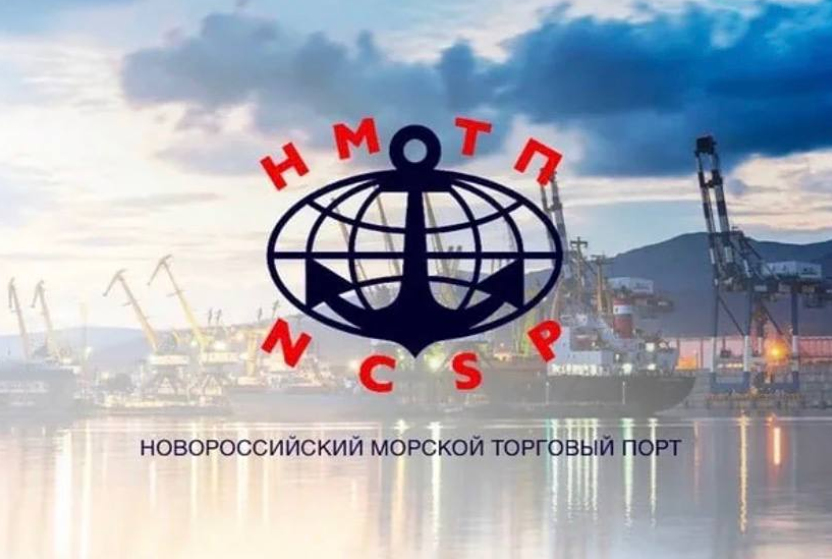 Почему Кабмин вернул госпакет НМТП в план приватизации на 2026–2028 года