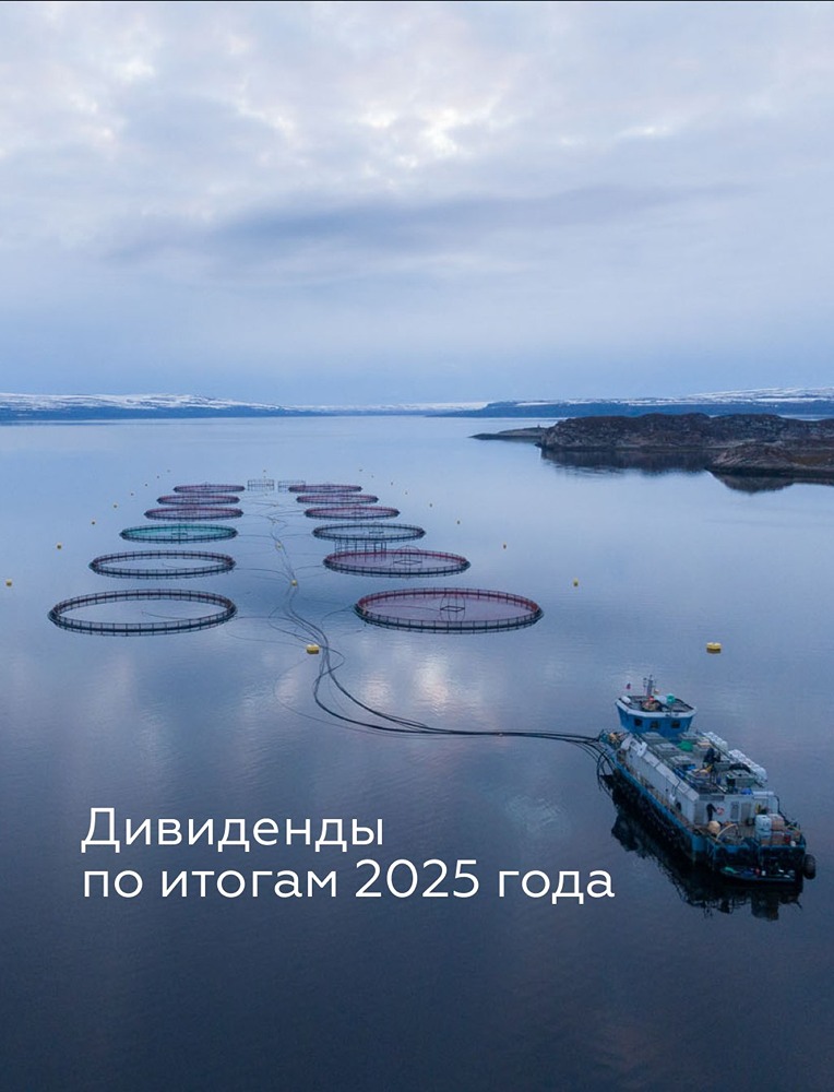 Сколько составят дивиденды «Инарктики» за 2025 год