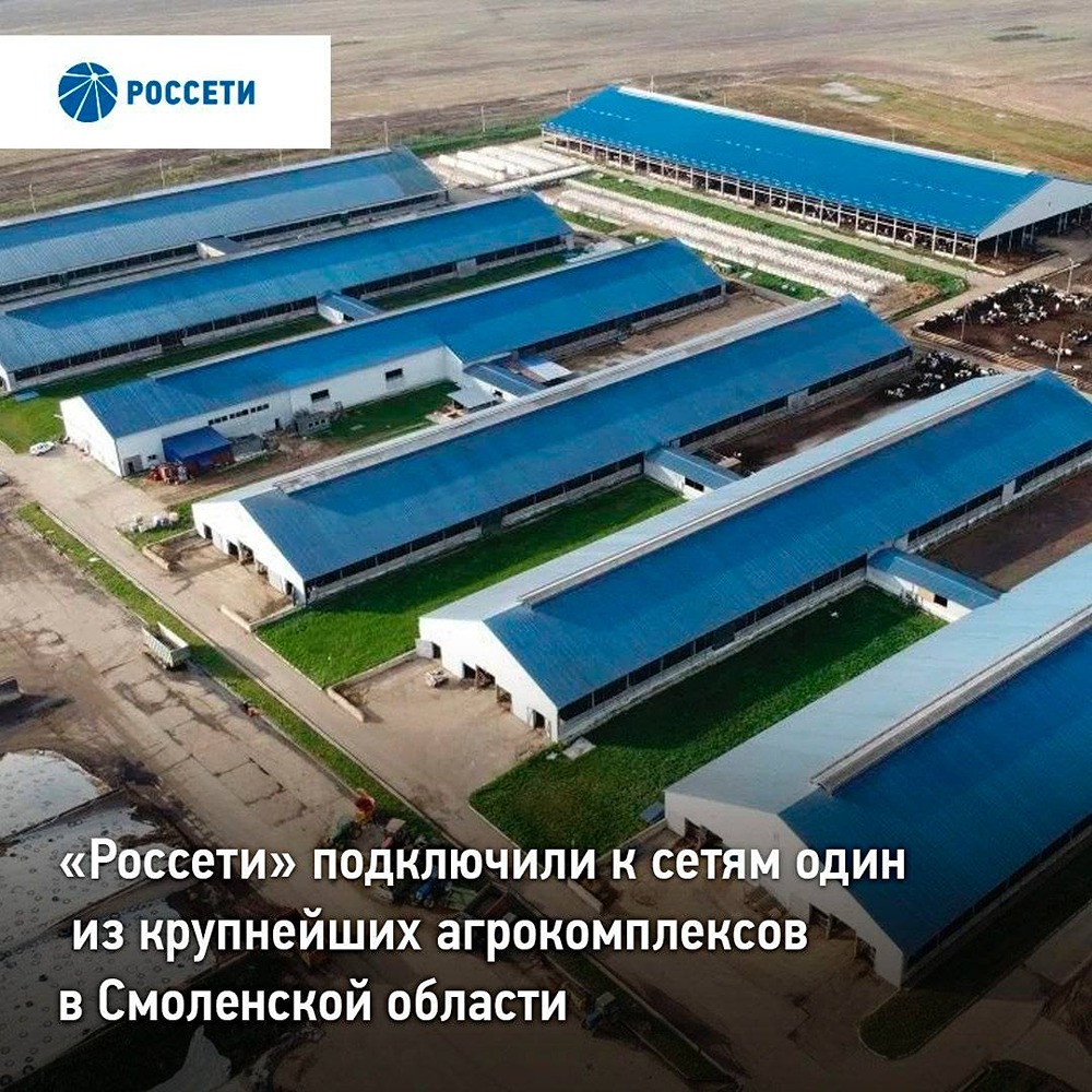«Россети» завершили подключение агрокластера «Золотая Нива» в Смоленской области