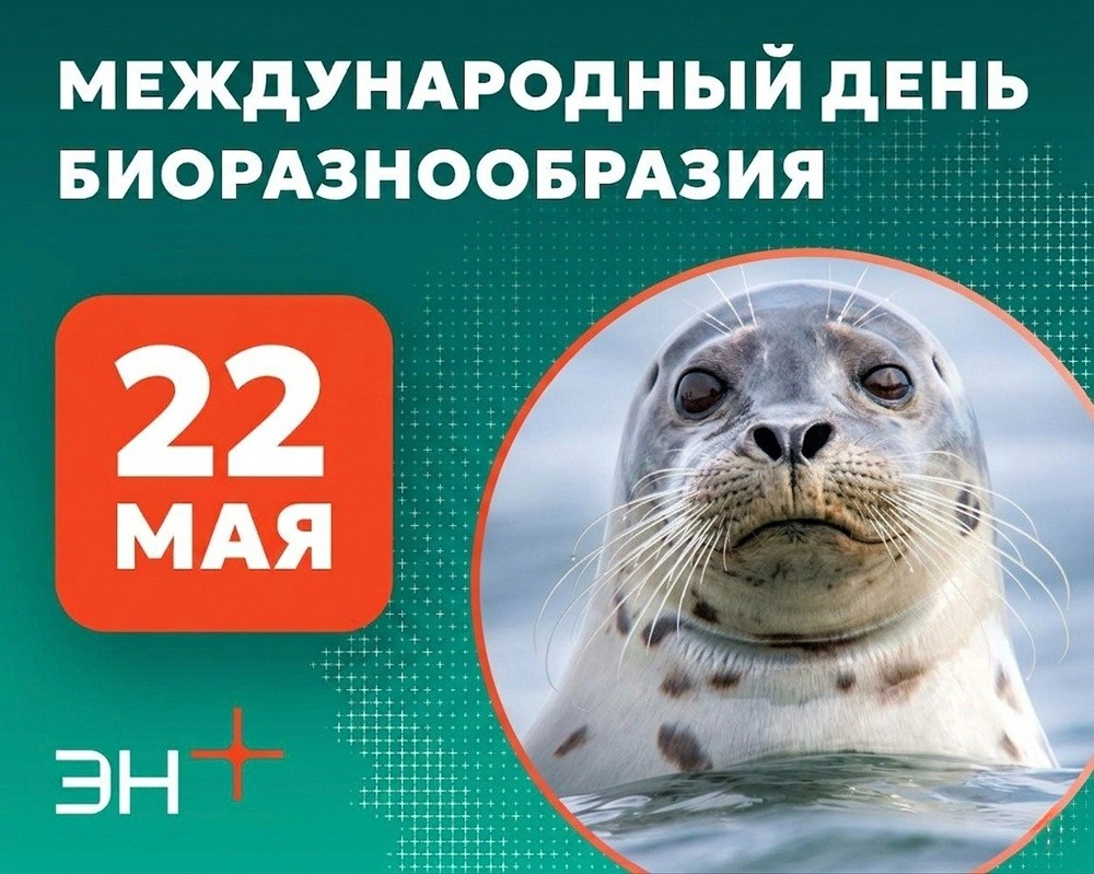 Как Эн+ помогает сохранять биоразнообразие Байкала и Сибири