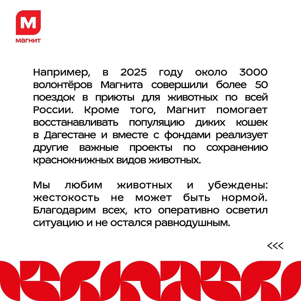 «Мы любим животных»: «Магнит» объяснил свою позицию после инцидента в Светлограде