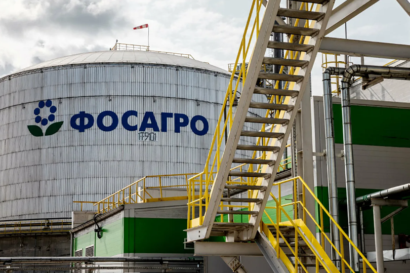 СД «ФосАгро» рекомендовал не платить дивиденды за 2025 год
