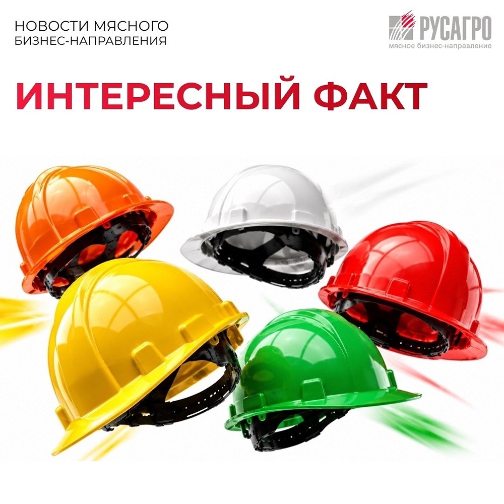 Что означает цвет каски на производстве «Русагро»