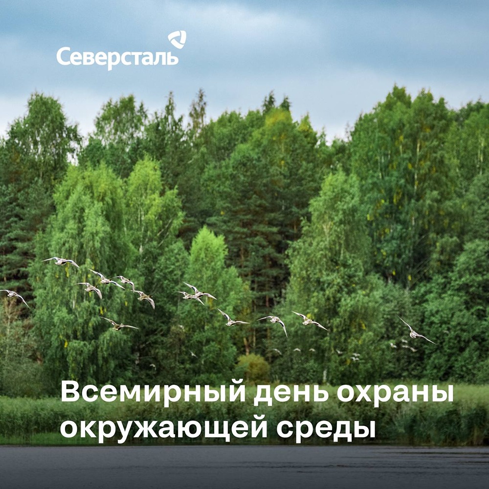 Почему «Северсталь» вкладывает 9,4 млрд рублей в экологию