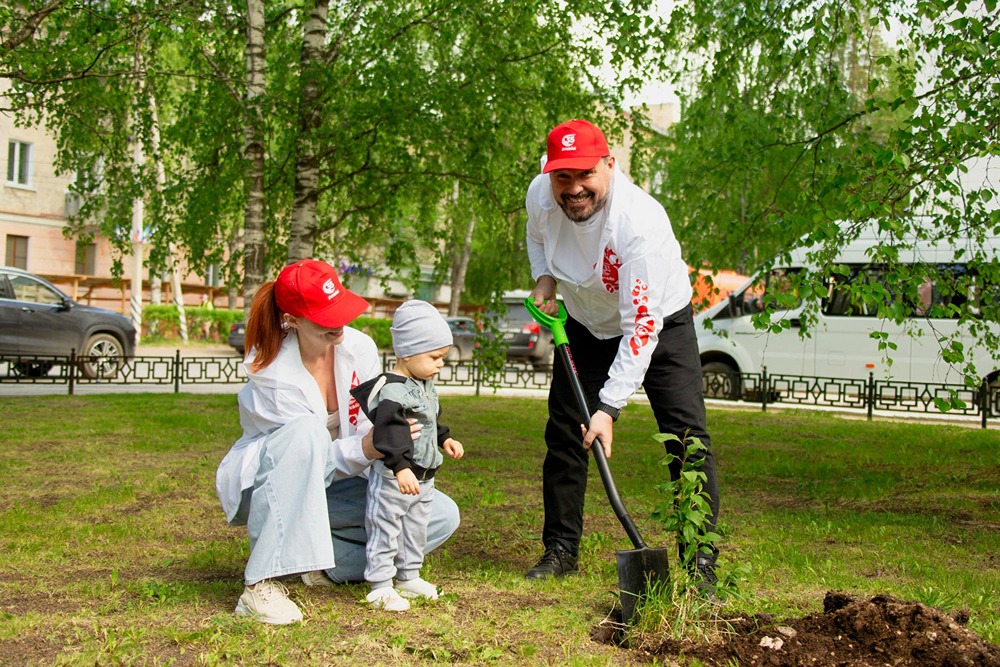 «Зелёные счётчики» ЛУКОЙЛа: показываем число высаженных саженцев