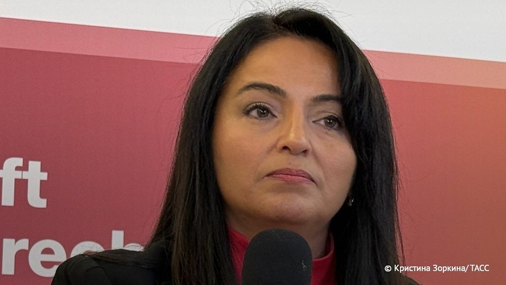 Мнение Севим Дагделен про власть в Германии