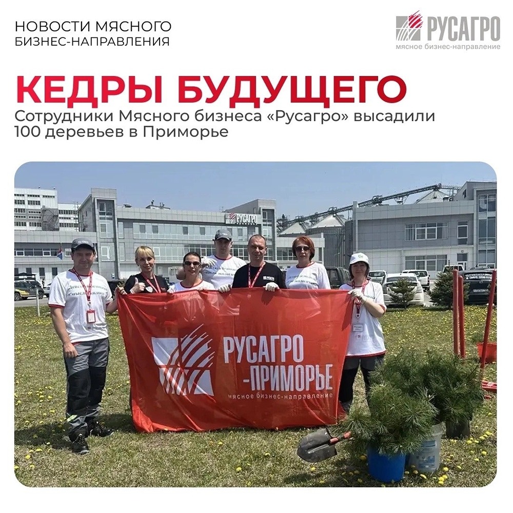 «Русагро-Приморье» посадило 100 кедров в рамках акции «День кедра»