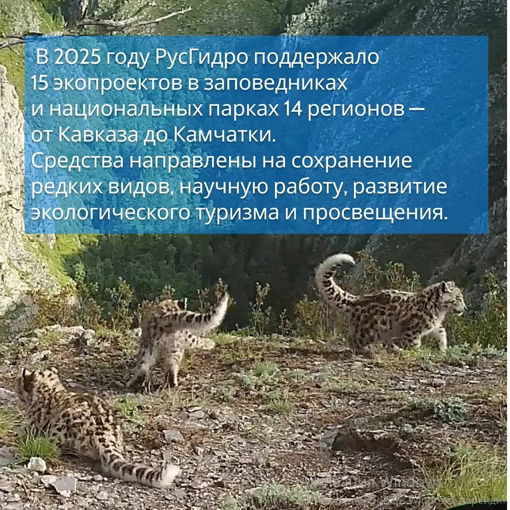 Как РусГидро снижает антропогенное воздействие на природу