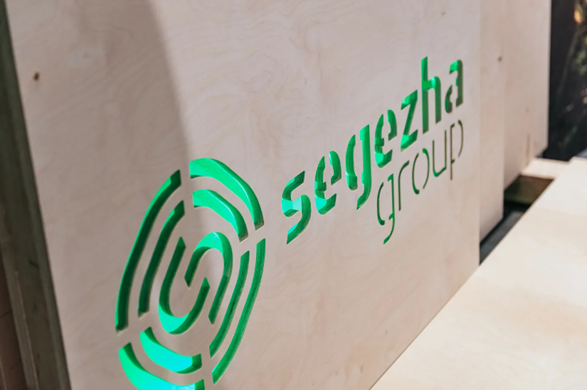 Что привело к росту убытка Segezha на 14% и падению выручки на 29%