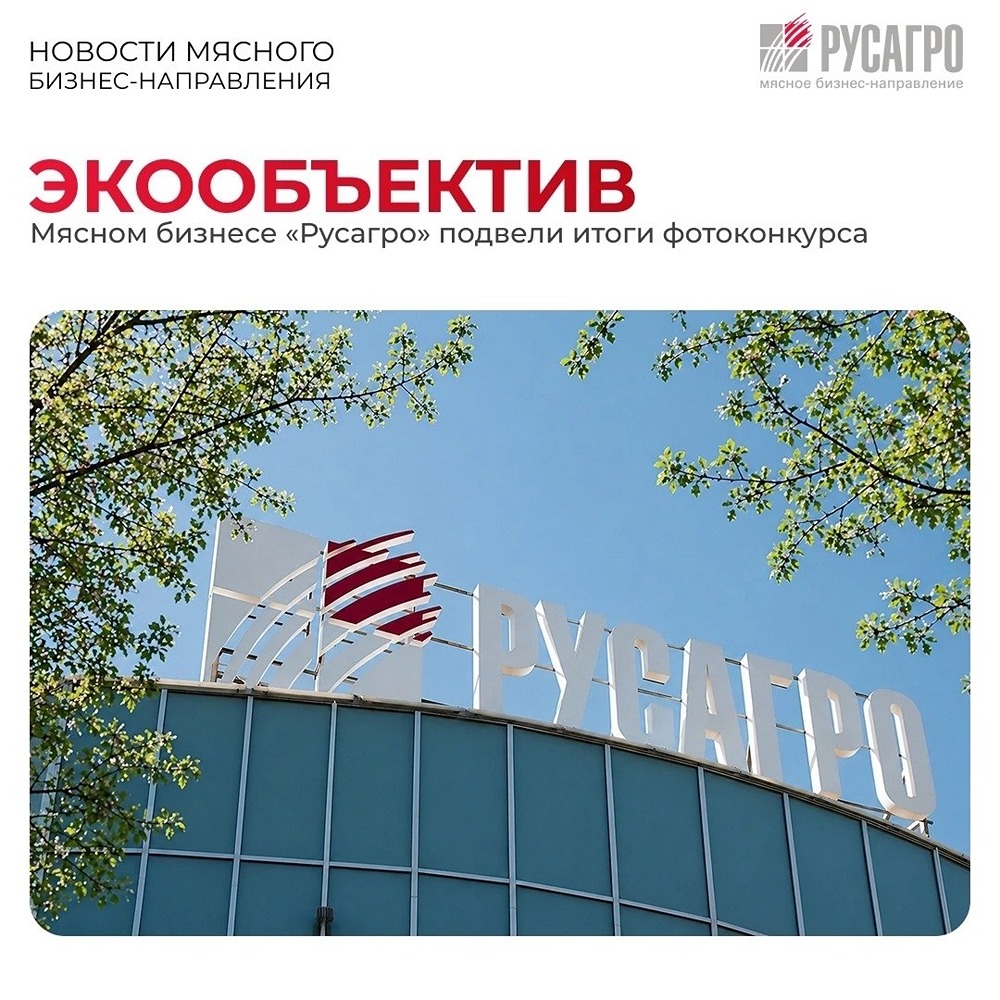 «Русагро» подвело итоги «Экообъектива»: экология глазами сотрудников