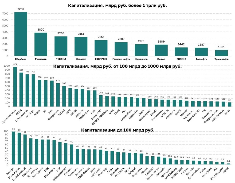 Почему капитализация российских компаний важна для диверсификации портфеля инвестора? Разбираемся