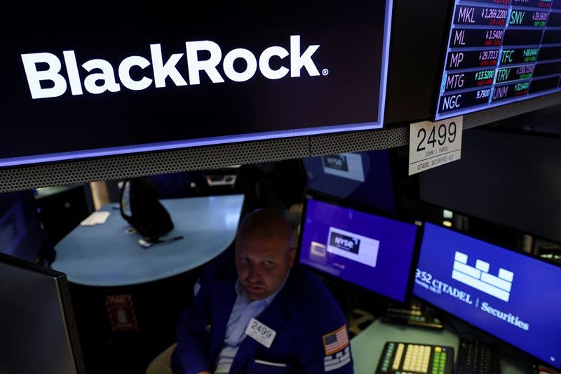 BlackRock нацелилась на $5 млрд в IPO SpaceX
