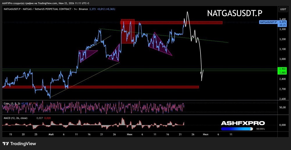 Прогноз криптовалюты NATGASUSD.P: ждать ли падения? Смотрим график
