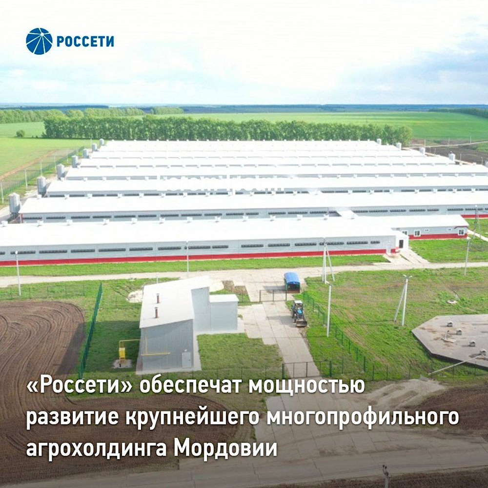 «Россети Волга» строят инфраструктуру для агрокомплексов Мордовии