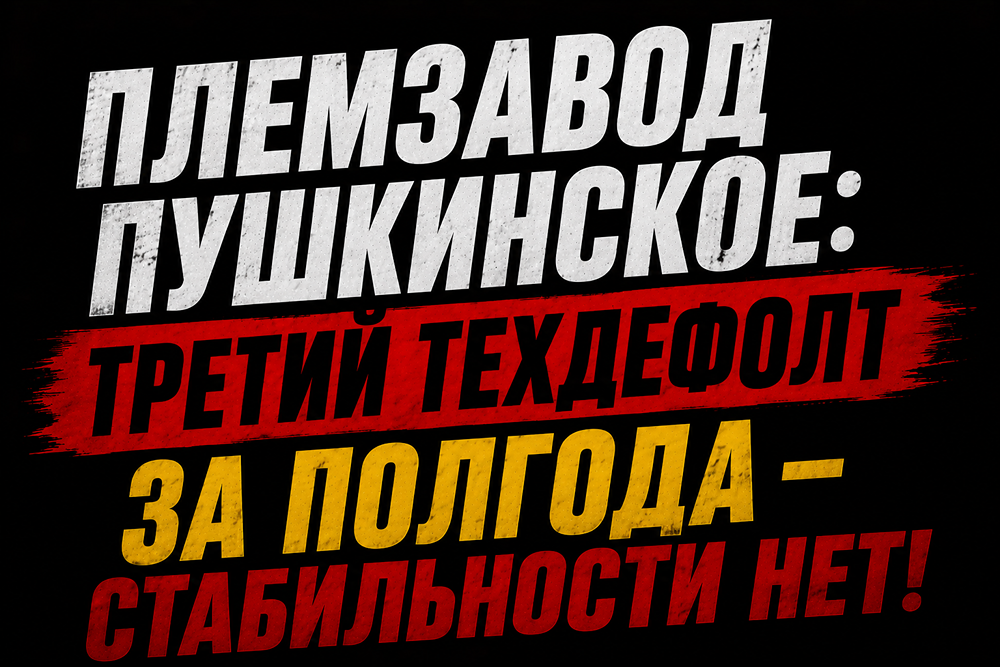 Что случилось с облигациями «Племзавода Пушкинское» 15 июня