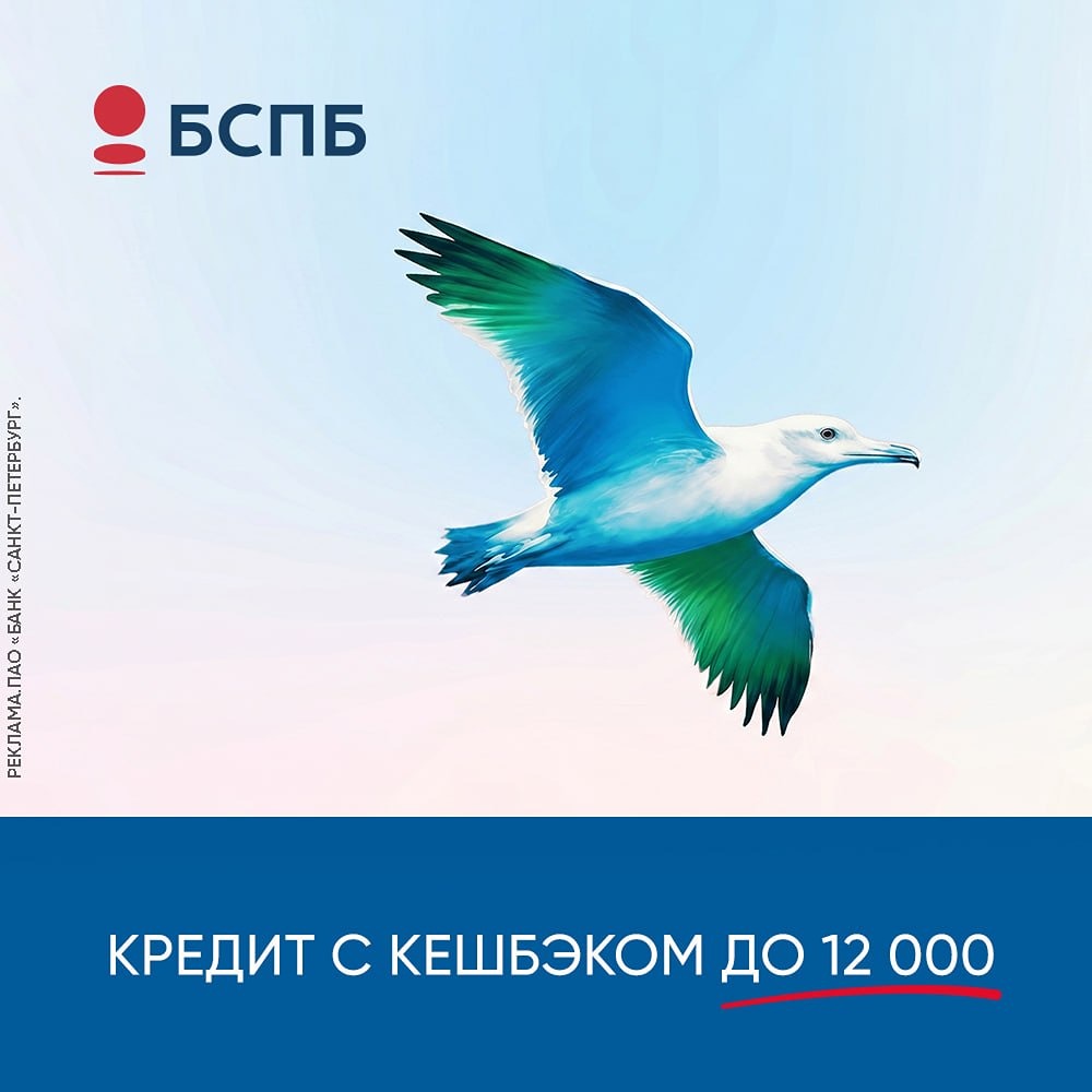 Когда лучше планировать крупные покупки? Аналитики Банка «Санкт-Петербург» назвали самый «горячий» период