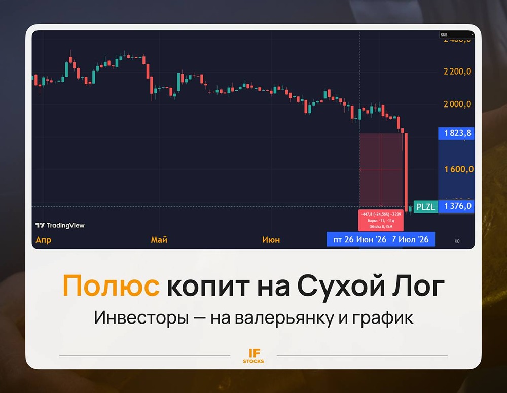 «Полюс» копит на Сухой Лог, а инвесторы — на валерьянку: что делать сейчас