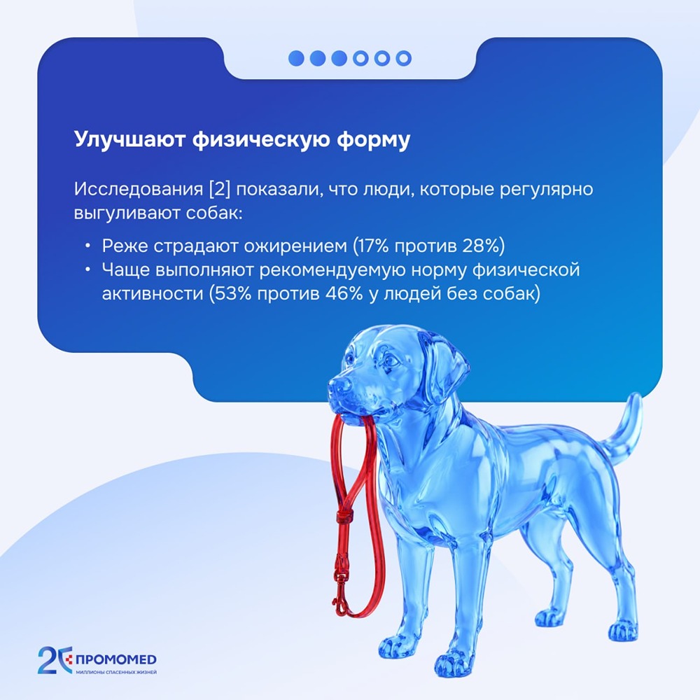 Как собаки влияют на здоровье? 5 фактов, подтвержденных исследованиями