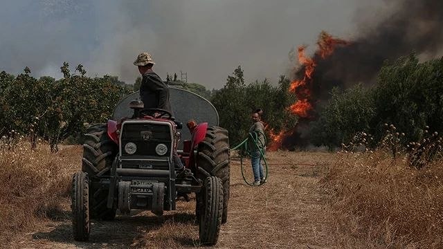 Засуха в Европе: урон агропрому, рост потребления газа и риски для энергетики
