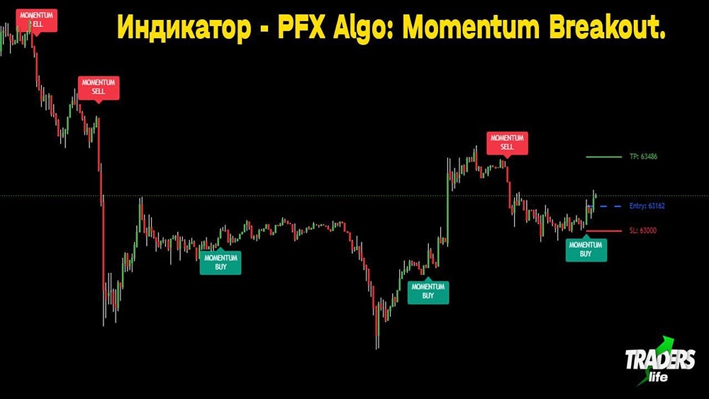 Индикатор PFX S3: как отличить реальный импульс от рыночного шума на 5m/15m