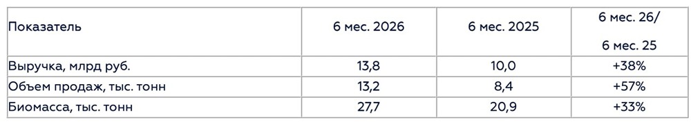 Инарктика: выручка +38 % на низкой базе — цены падают, рентабельность под давлением