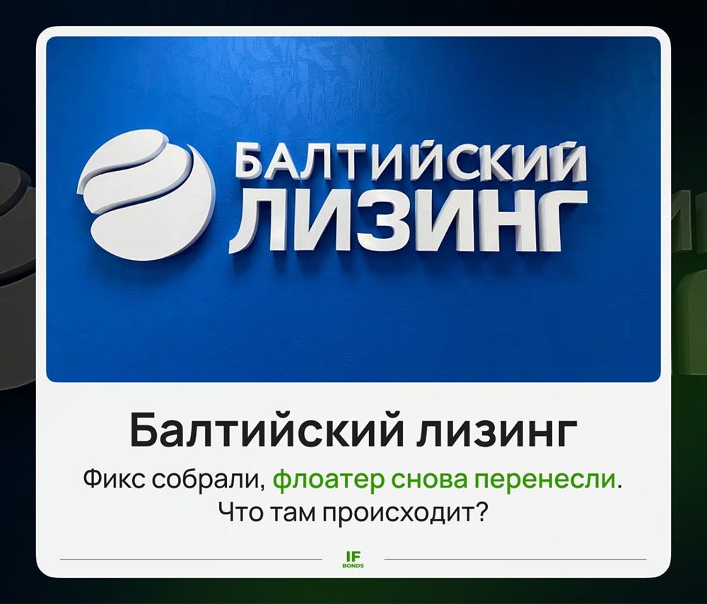 Тревожные метрики: у «Балтийского лизинга» ROE рухнул до 0,34%, чистая прибыль — минус 98%