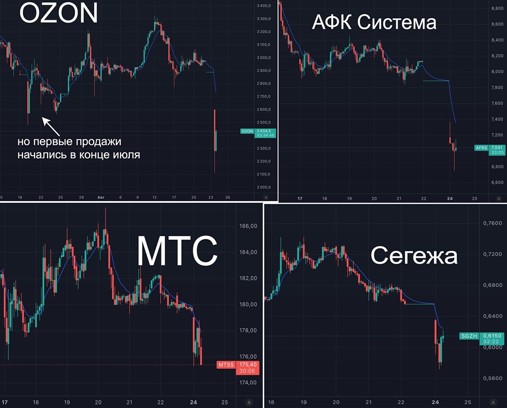 Смогут ли Ozon и АФК «Система» удержать позиции после масштабных ЧП на хабах