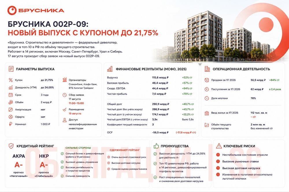 Какие плюсы и минусы новых облигаций «Брусника»: стоит ли отдавать свои деньги в выпуск 02Р-09