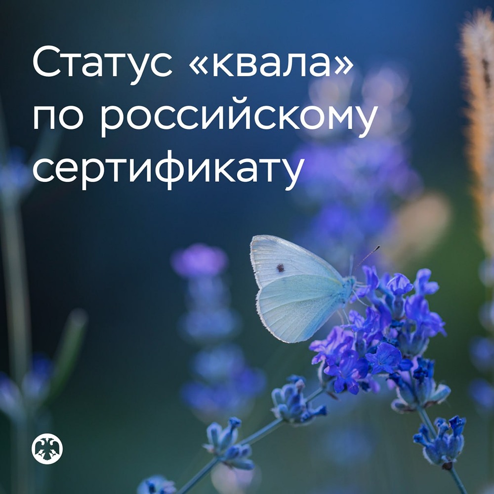 В России вводят экзамен для статуса квалифицированного инвестора — новые правила с 31 августа