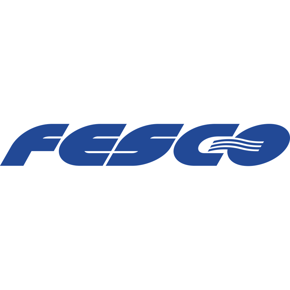FESCO получила премию за логистические решения в Индии