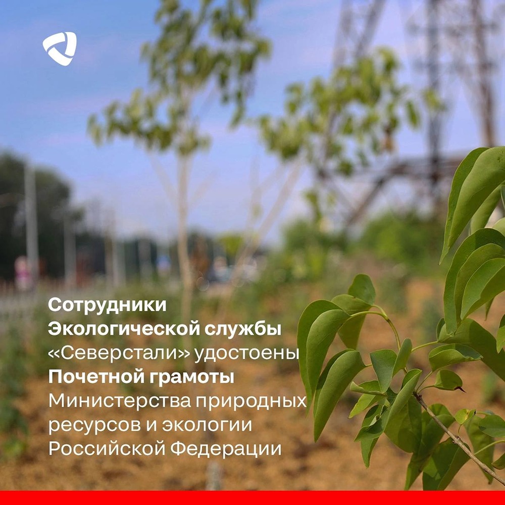 Награду получили 4 специалиста: главный эколог, начальник Управления экологии и два менеджера Экологической службы
