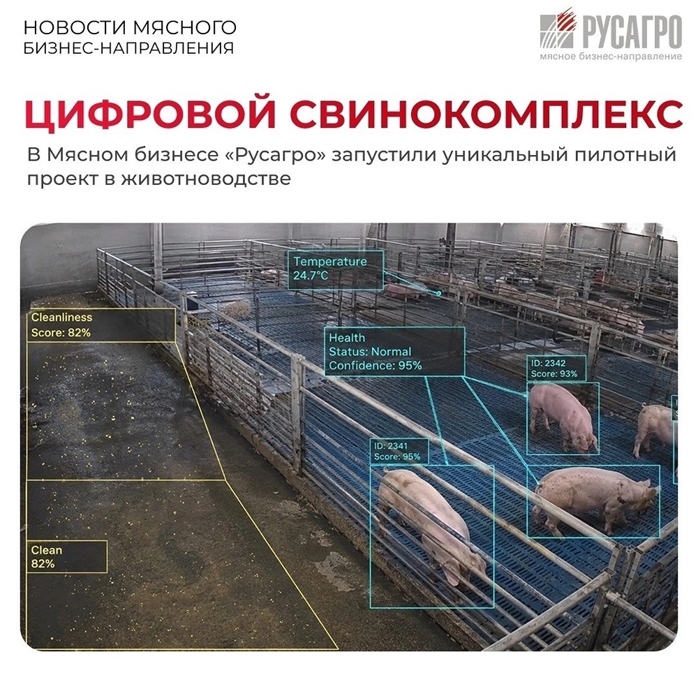 «Цифровой свинокомплекс» на «Марьевском‑2»: как «Русагро» автоматизирует 58 видов операций и сокращает рутину на 76%