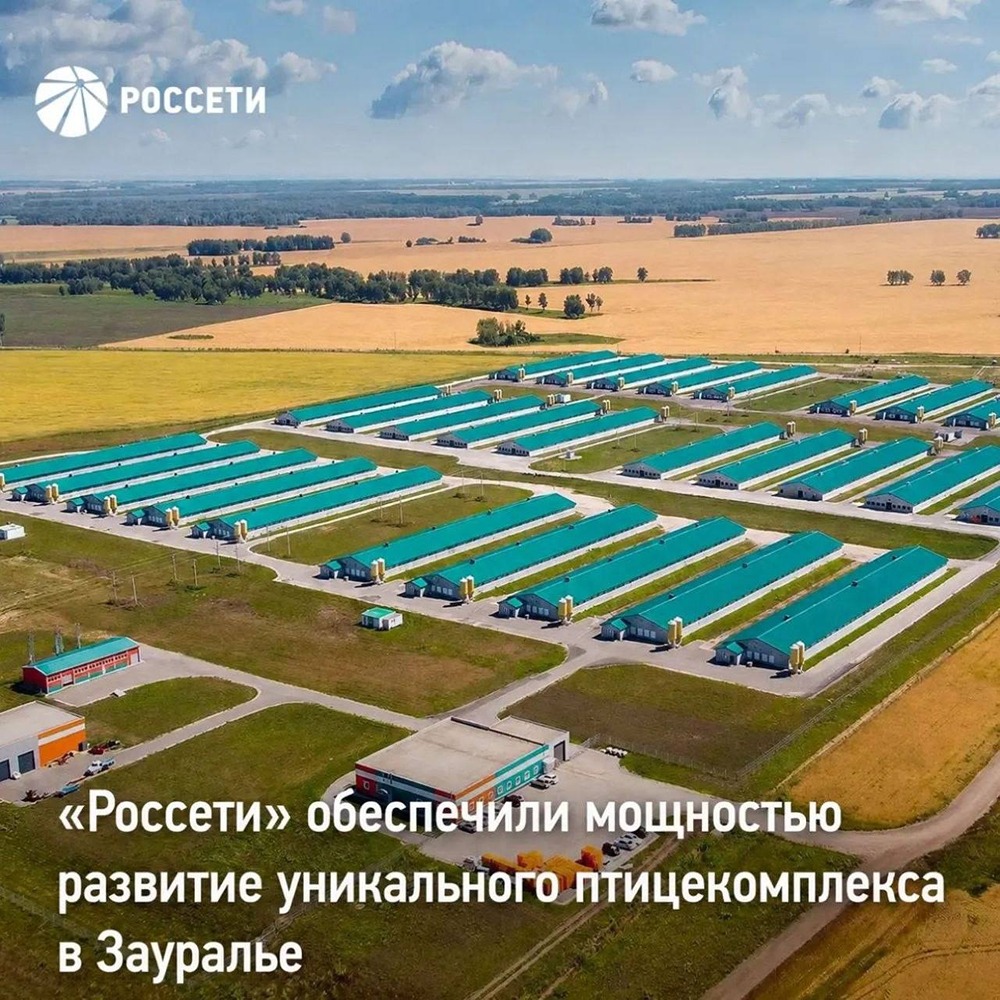 3,3 МВт для крылатого производства: «Россети Новосибирск» обеспечили мощностью уникальный птицекомплекс в Искитимском районе — теперь предприятие работает на полную мощность