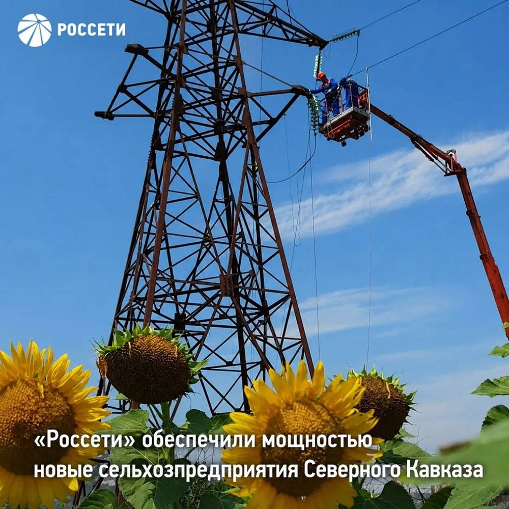 Энергия для урожая: «Россети» с начала 2026 года дали 15,8 МВт мощности 80+ агрообъектам Северного Кавказа — и готовят ещё более 100 проектов