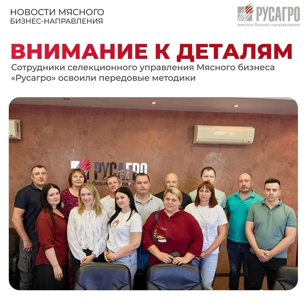 Оценка перинеального профиля, ПО и передовые практики: специалисты «Русагро» освоили инновационную методику для прогнозирования репродуктивного потенциала свиноматок