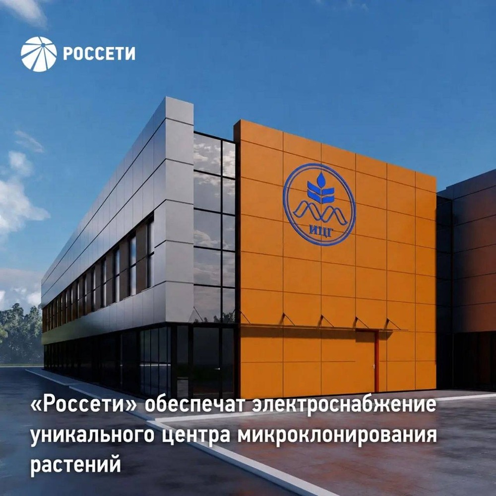 Наука, которая кормит: «Россети» обеспечат 1,1 МВт мощности для уникального центра микроклонирования растений под Новосибирском