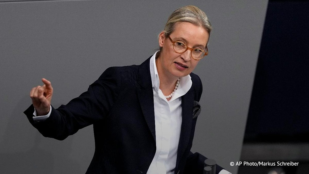 Вайдель заявила, что Германия де-факто является банкротом