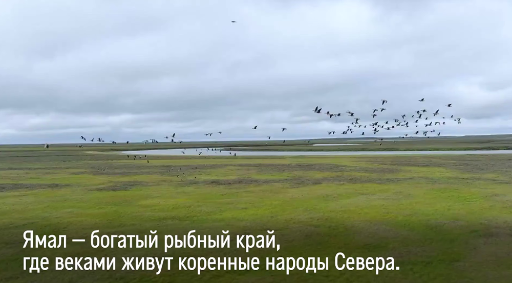 День рыбака на Ямале: как «Родные города» помогают сохранять традиции коренных народов и объединять жителей Нового Порта