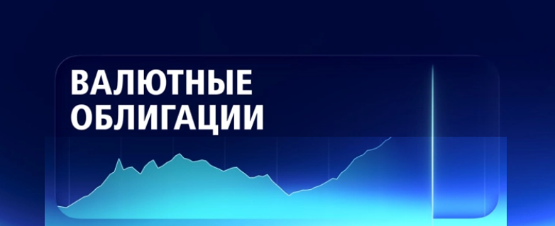 Валютные облигации с доходностью до 17%: подборка для долгосрочного портфеля