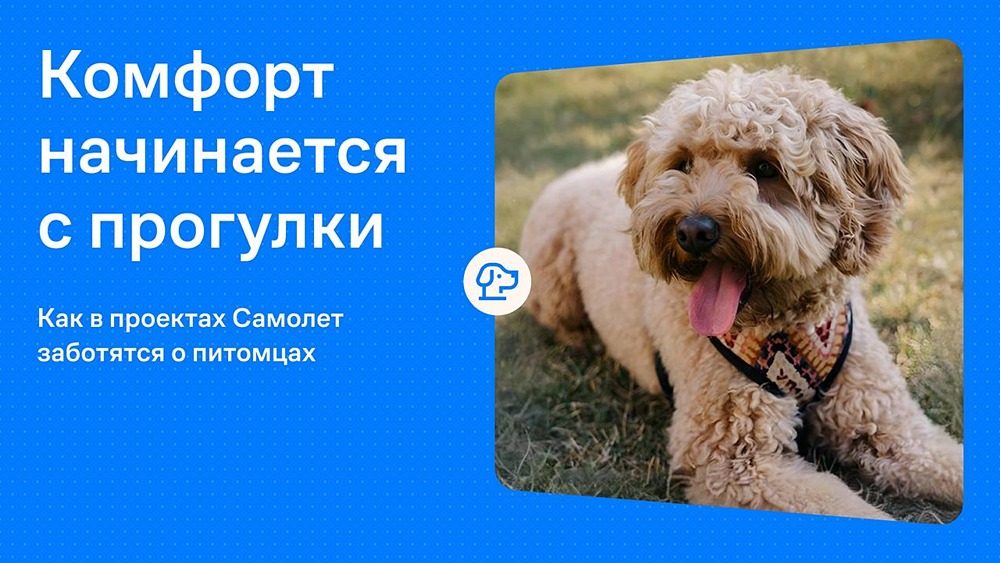 Комфорт для всех: в проектах «Самолёта» продумана инфраструктура для питомцев — от площадок для собак до ветклиник и груминг‑салонов в шаговой доступности