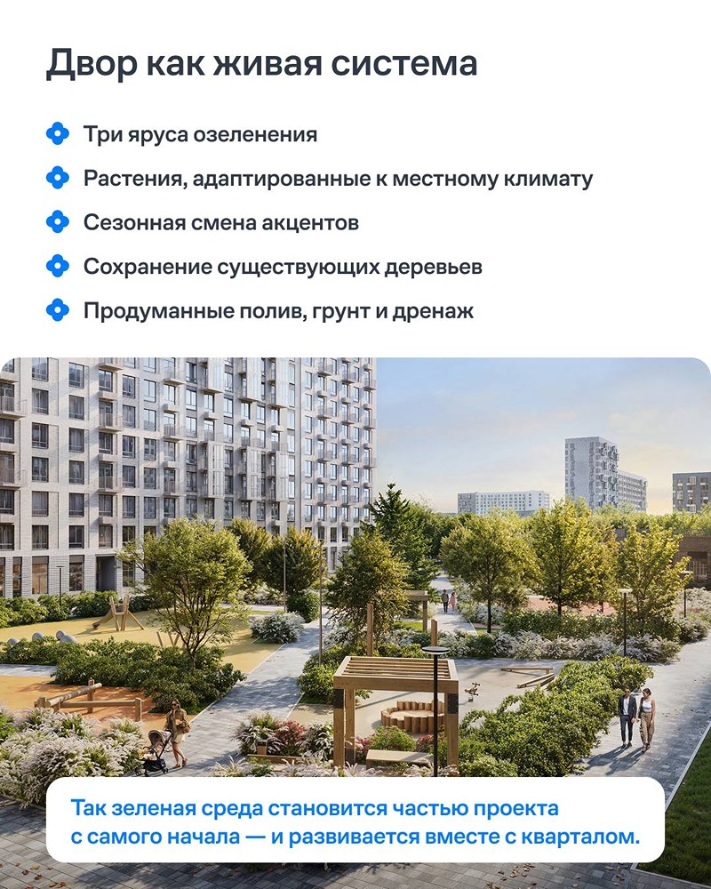 Зелёный двор — это стратегия, а не просто посадки: «Самолет» продумывает ландшафт вместе с архитектурой, чтобы двор был уютным, устойчивым и красивым в любое время года